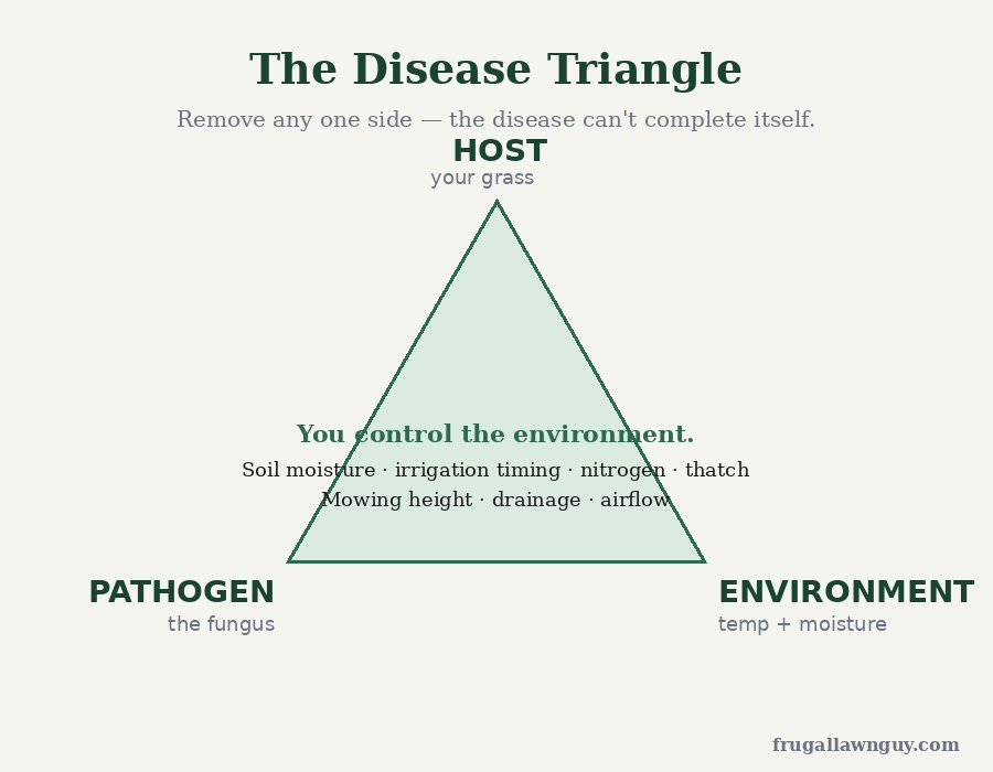 The disease triangle — host, pathogen, environment. You control the environment.