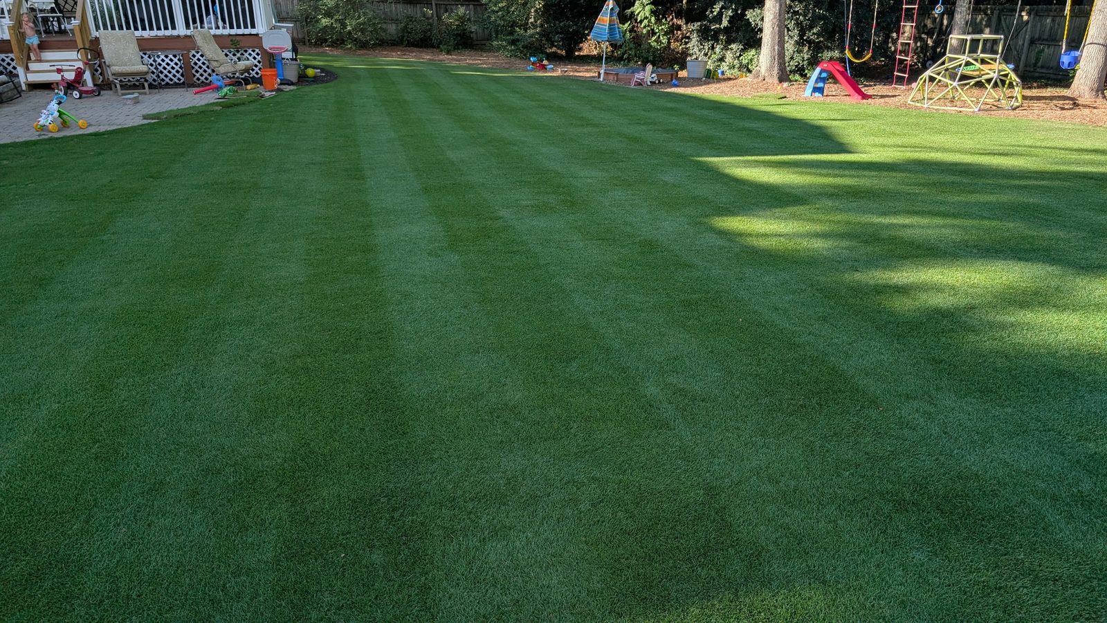 Striped zoysia backyard lawn after a mowing pass, Peachtree City GA