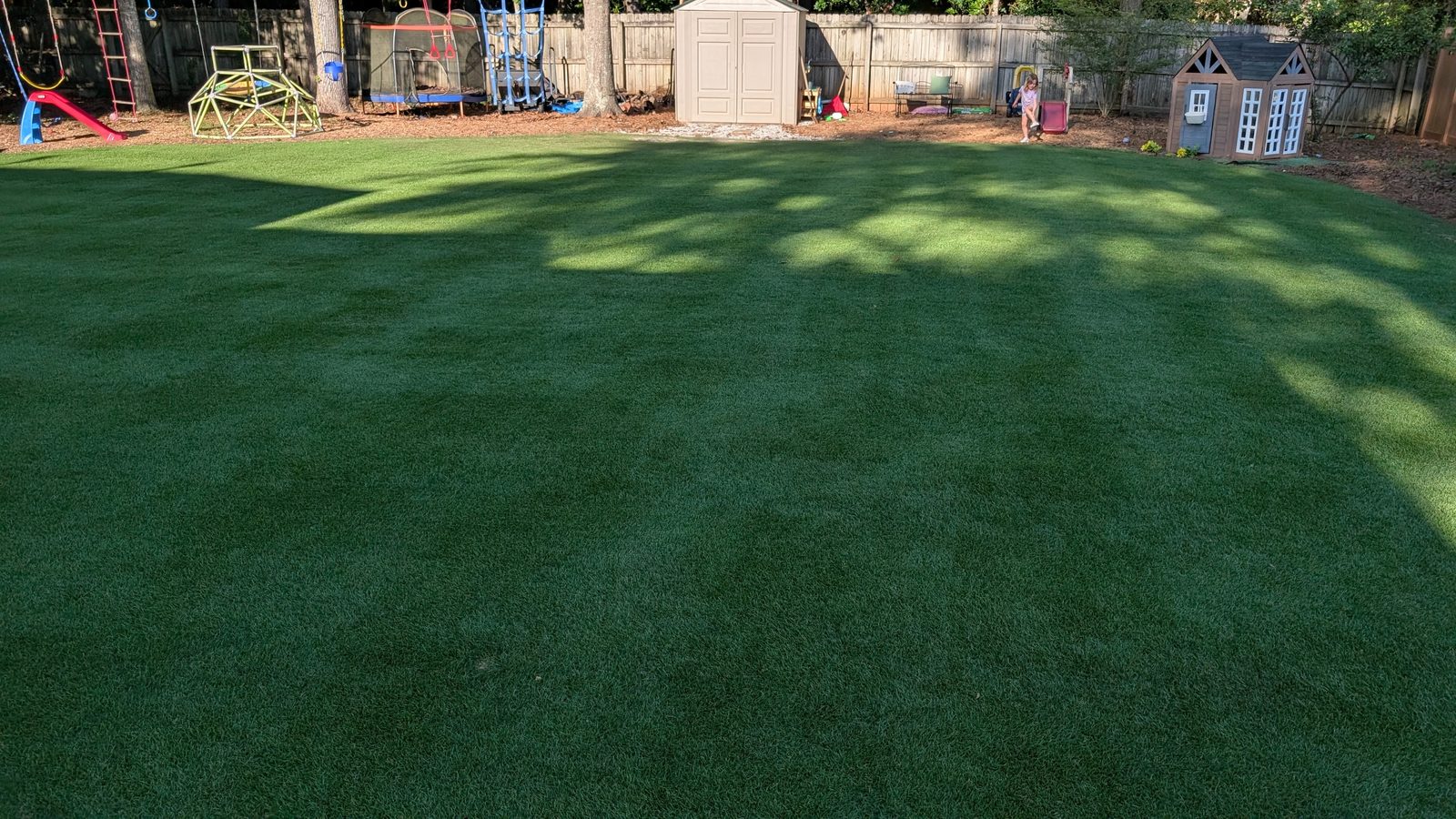 Wide view of a thick zoysia backyard lawn in summer