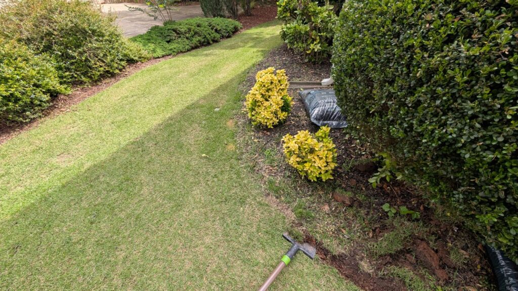 The saw-tooth edger mid-cut, with the fresh trench opened and the mulch staged on the grass. Edge first, mulch second.