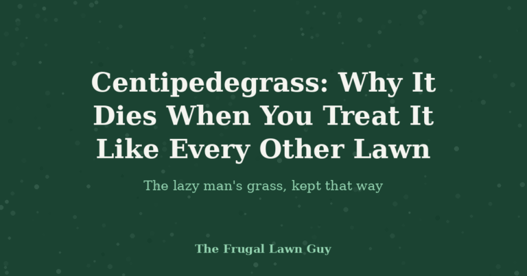 Centipedegrass: Why It Dies When You Treat It Like Every Other Lawn