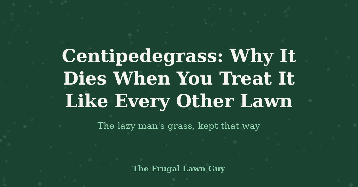 Centipedegrass: Why It Dies When You Treat It Like Every Other Lawn
