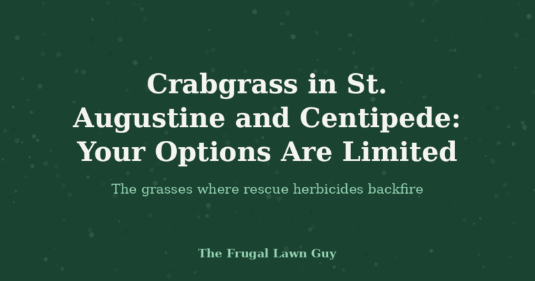 Crabgrass in St. Augustine and Centipede: Your Options Are Limited