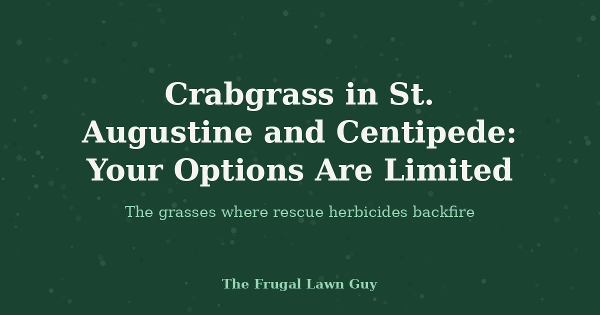 Crabgrass in St. Augustine and Centipede: Your Options Are Limited