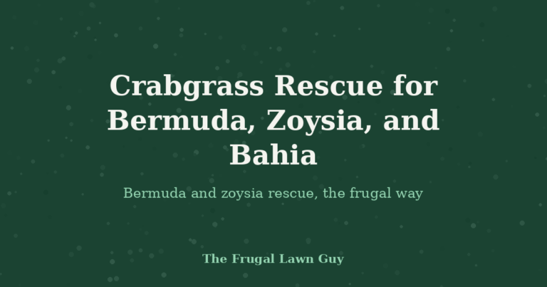 Crabgrass Rescue for Bermuda, Zoysia, and Bahia