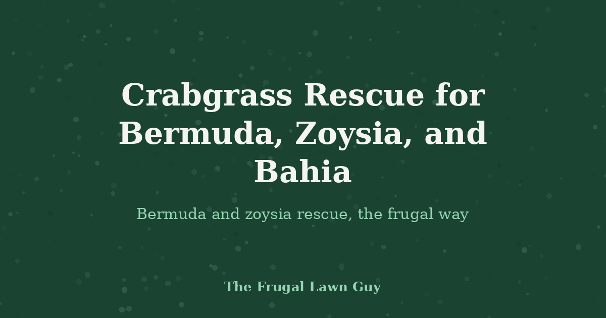 Crabgrass Rescue for Bermuda, Zoysia, and Bahia