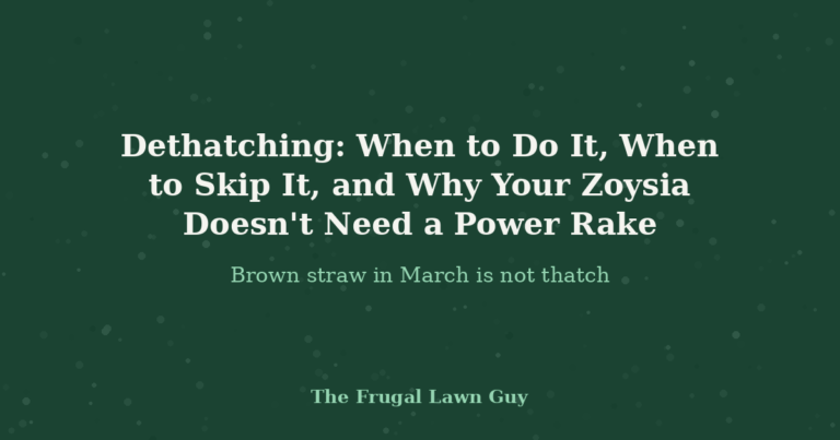 Dethatching: When to Do It, When to Skip It, and Why Your Zoysia Doesn't Need a Power Rake