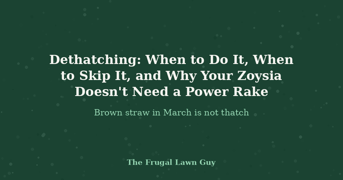 Dethatching: When to Do It, When to Skip It, and Why Your Zoysia Doesn't Need a Power Rake