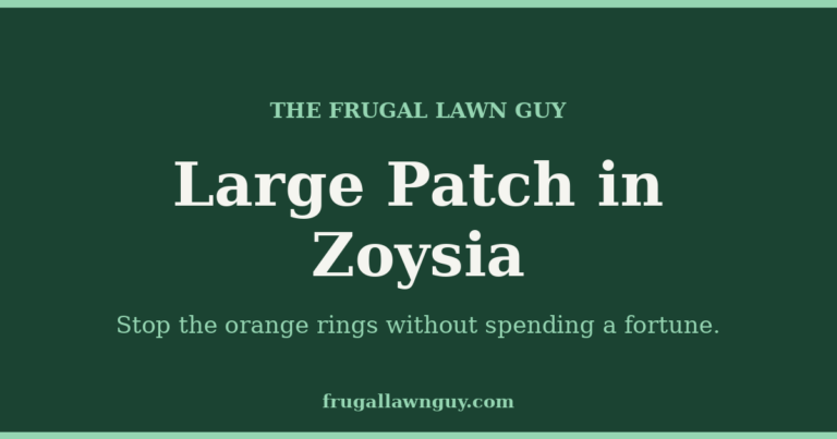 The Frugal Lawn Guy — Large Patch in Zoysia
