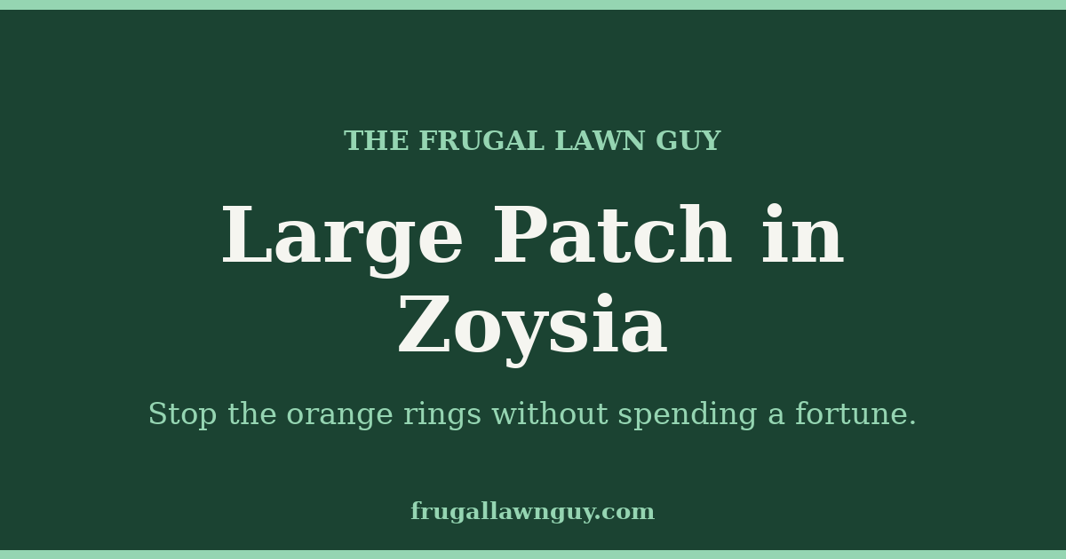 The Frugal Lawn Guy — Large Patch in Zoysia