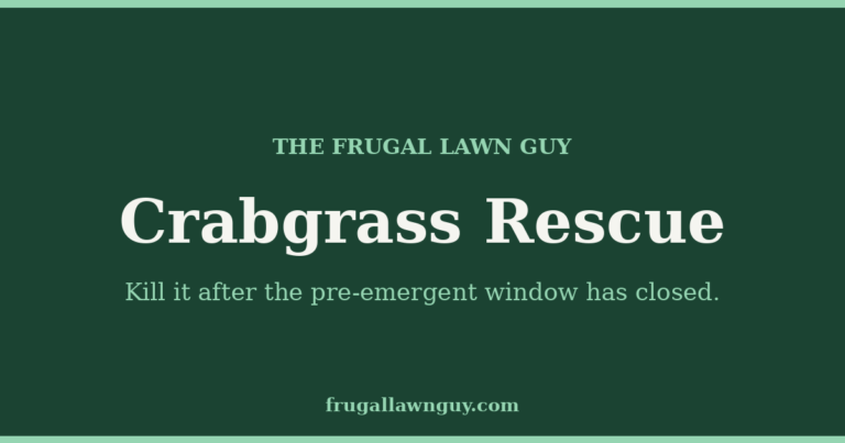 The Frugal Lawn Guy — Crabgrass Rescue