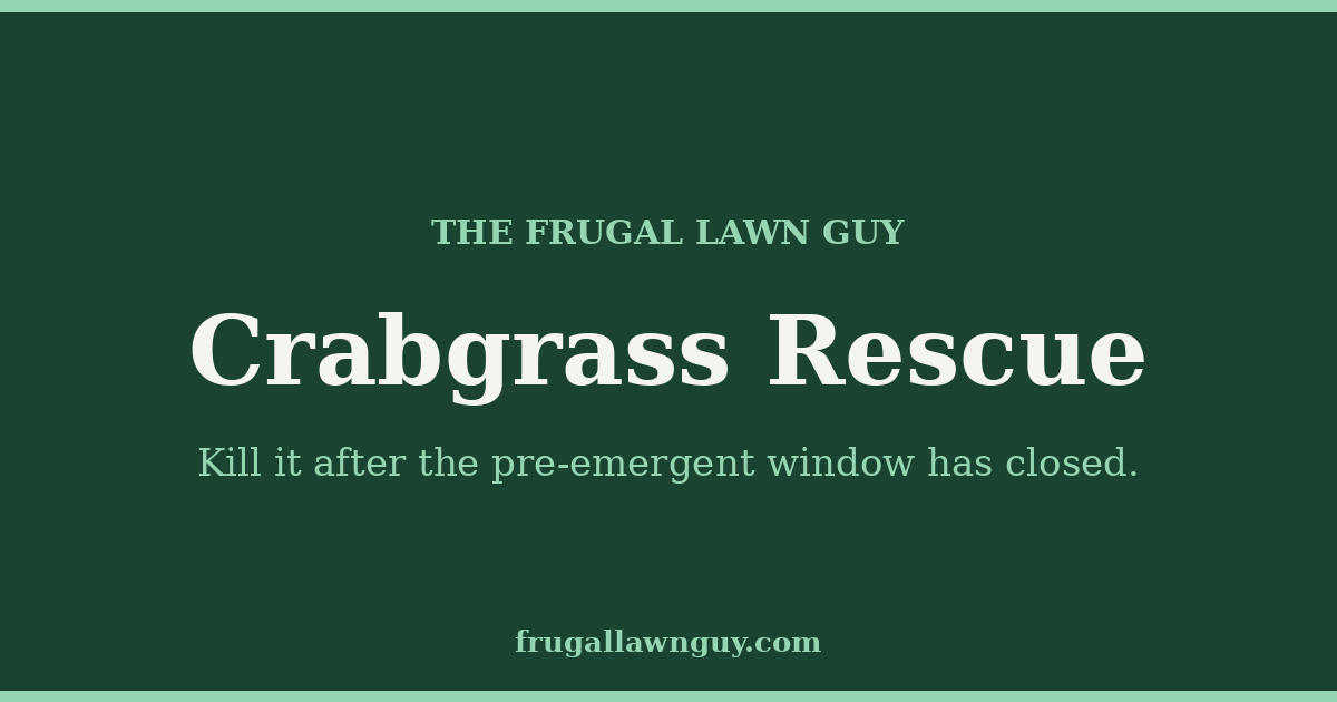 The Frugal Lawn Guy — Crabgrass Rescue