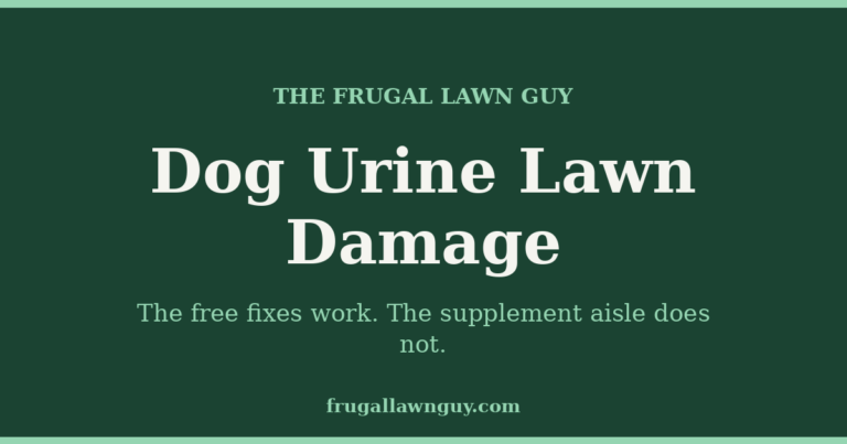 The Frugal Lawn Guy — Dog Urine Lawn Damage