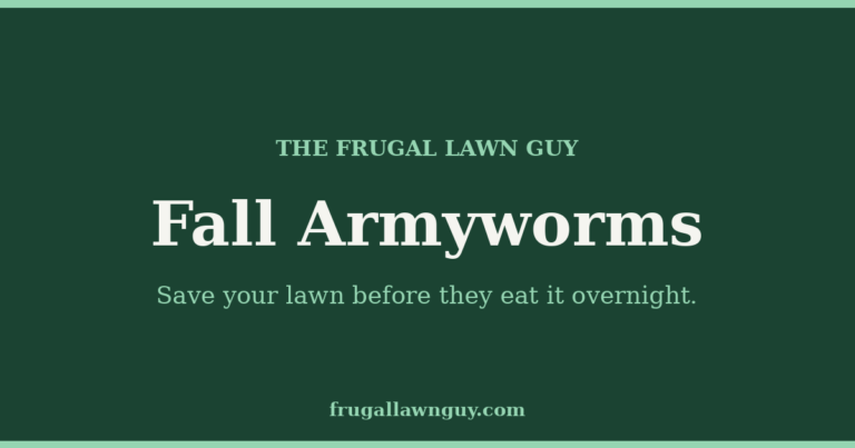 The Frugal Lawn Guy — Fall Armyworms