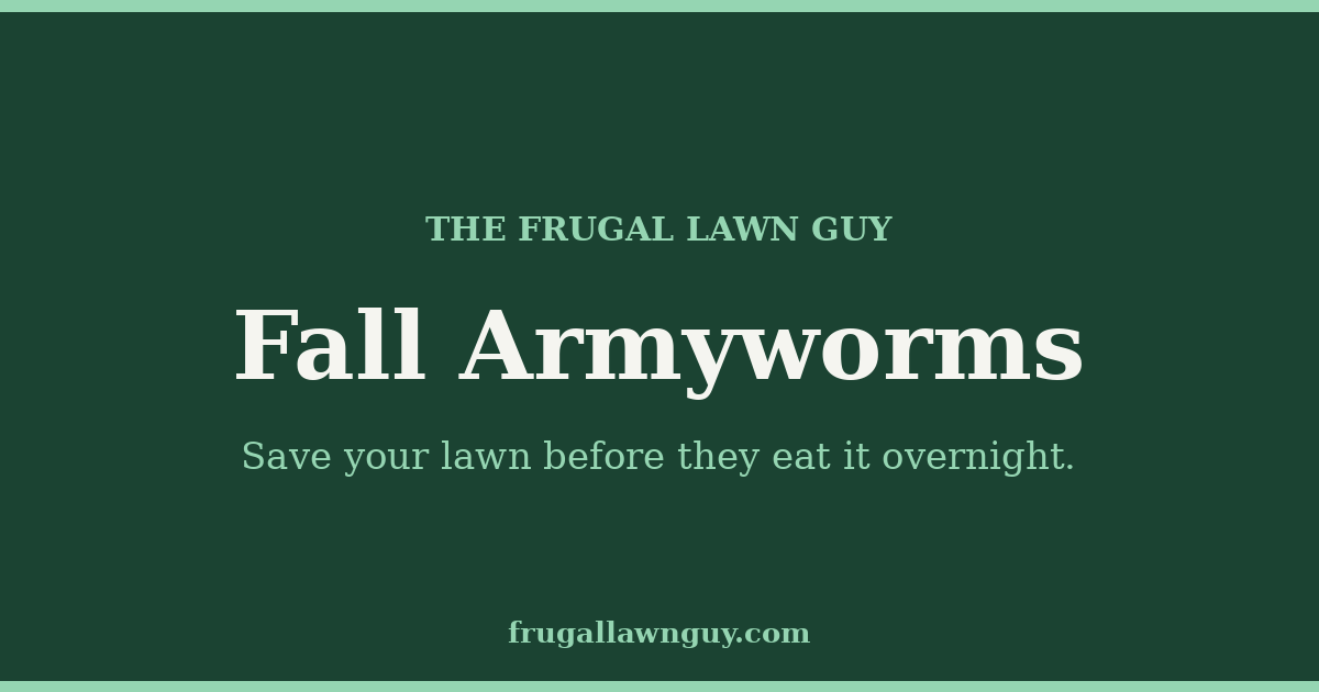 The Frugal Lawn Guy — Fall Armyworms