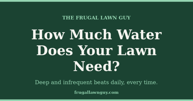 The Frugal Lawn Guy — How Much Water Does Your Lawn Need