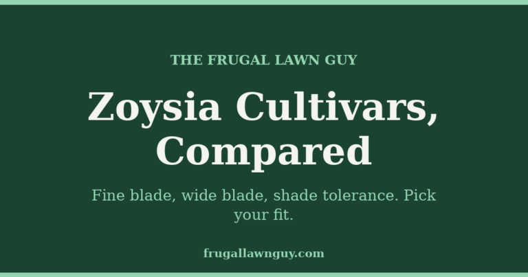 The Frugal Lawn Guy — Zoysia Cultivars Compared