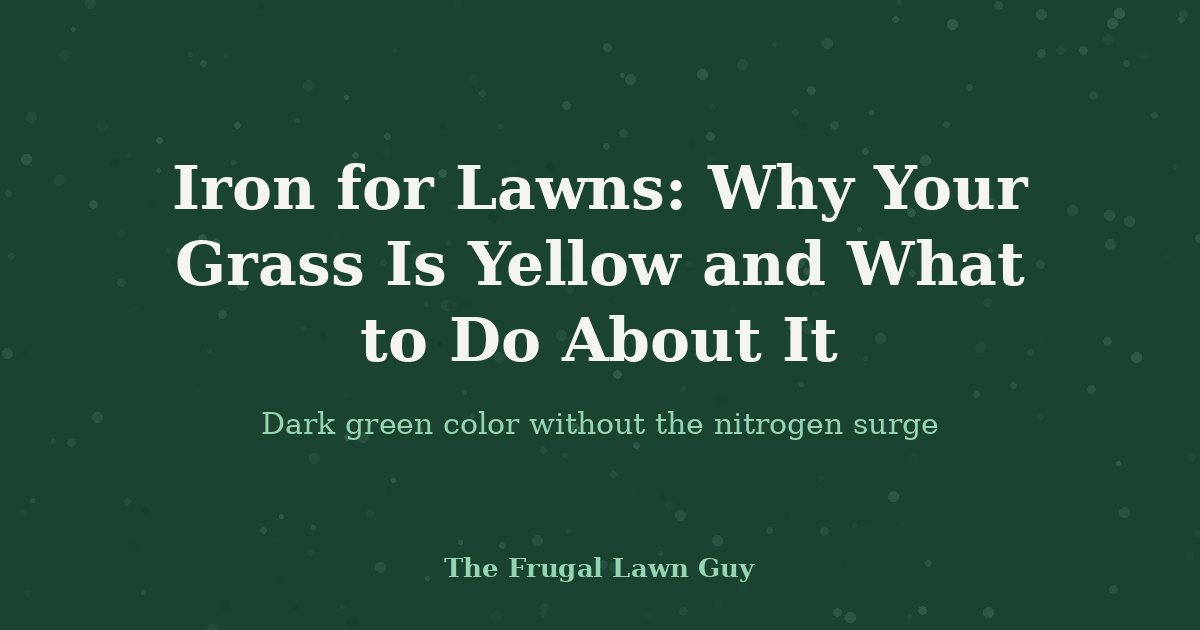 Iron for Lawns: Why Your Grass Is Yellow and What to Do About It