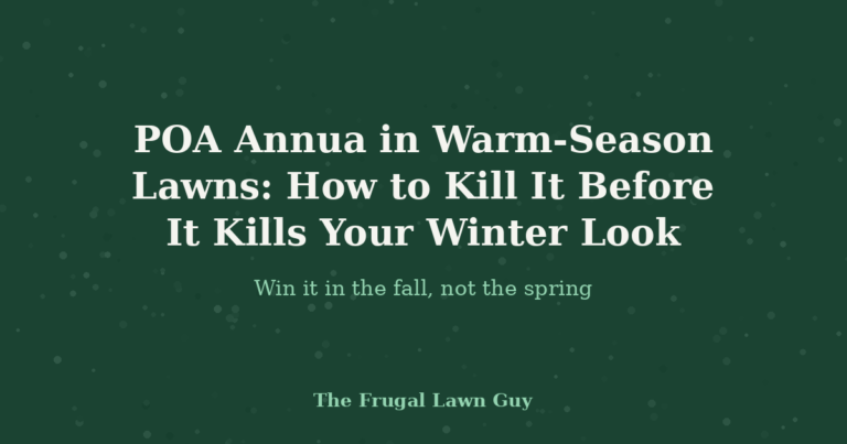 POA Annua in Warm-Season Lawns: How to Kill It Before It Kills Your Winter Look