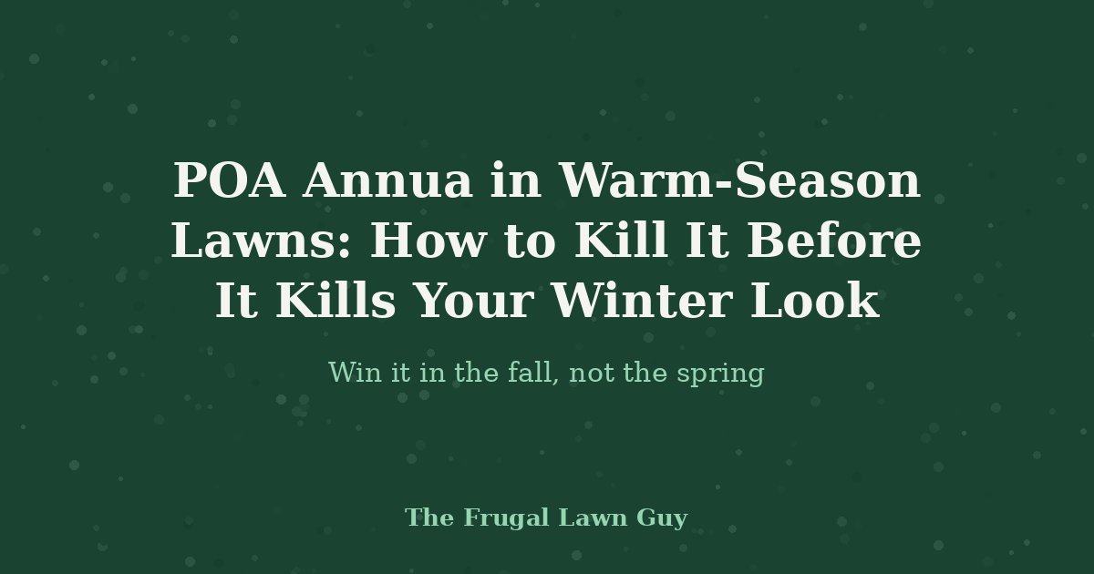 POA Annua in Warm-Season Lawns: How to Kill It Before It Kills Your Winter Look