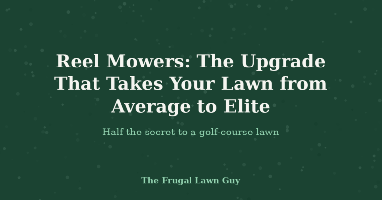 Reel Mowers: The Upgrade That Takes Your Lawn from Average to Elite