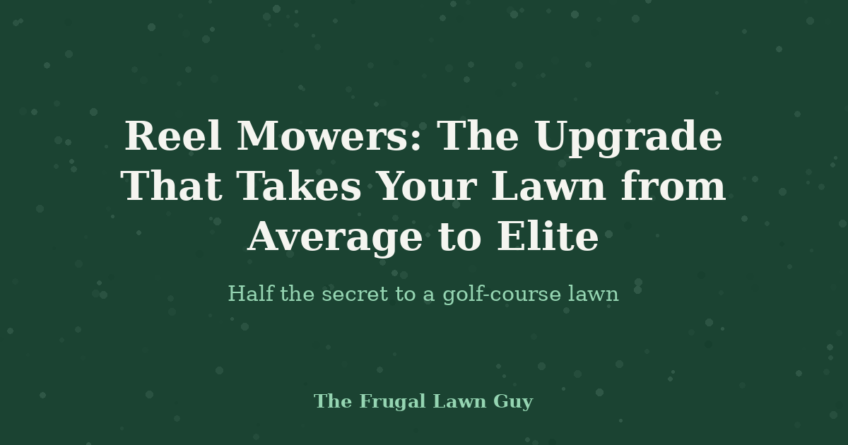 Reel Mowers: The Upgrade That Takes Your Lawn from Average to Elite