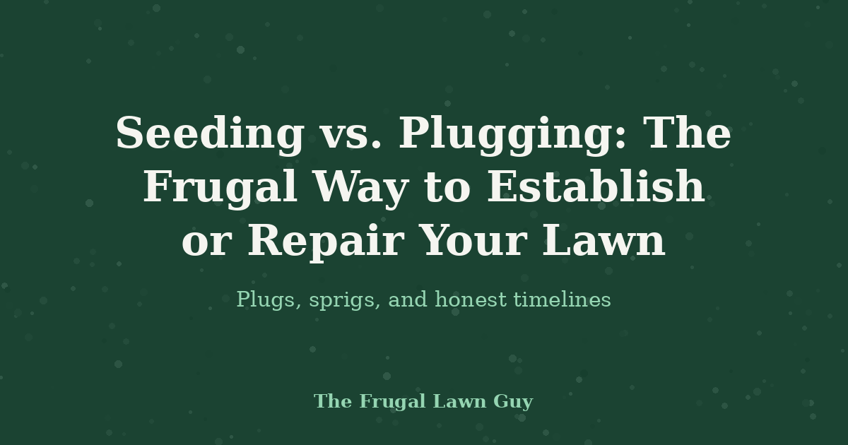 Seeding vs. Plugging: The Frugal Way to Establish or Repair Your Lawn