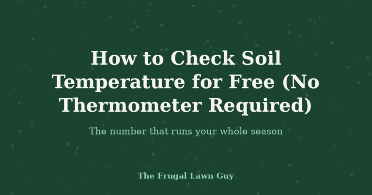 How to Check Soil Temperature for Free (No Thermometer Required)