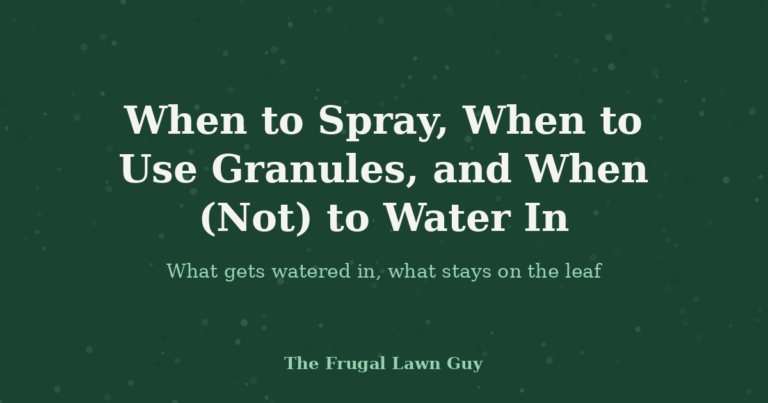 When to Spray, When to Use Granules, and When (Not) to Water In