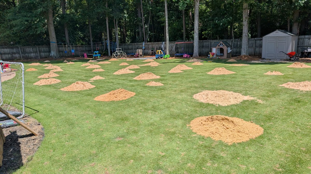 Piles of masonry sand dropped across an aerated zoysia lawn before spreading