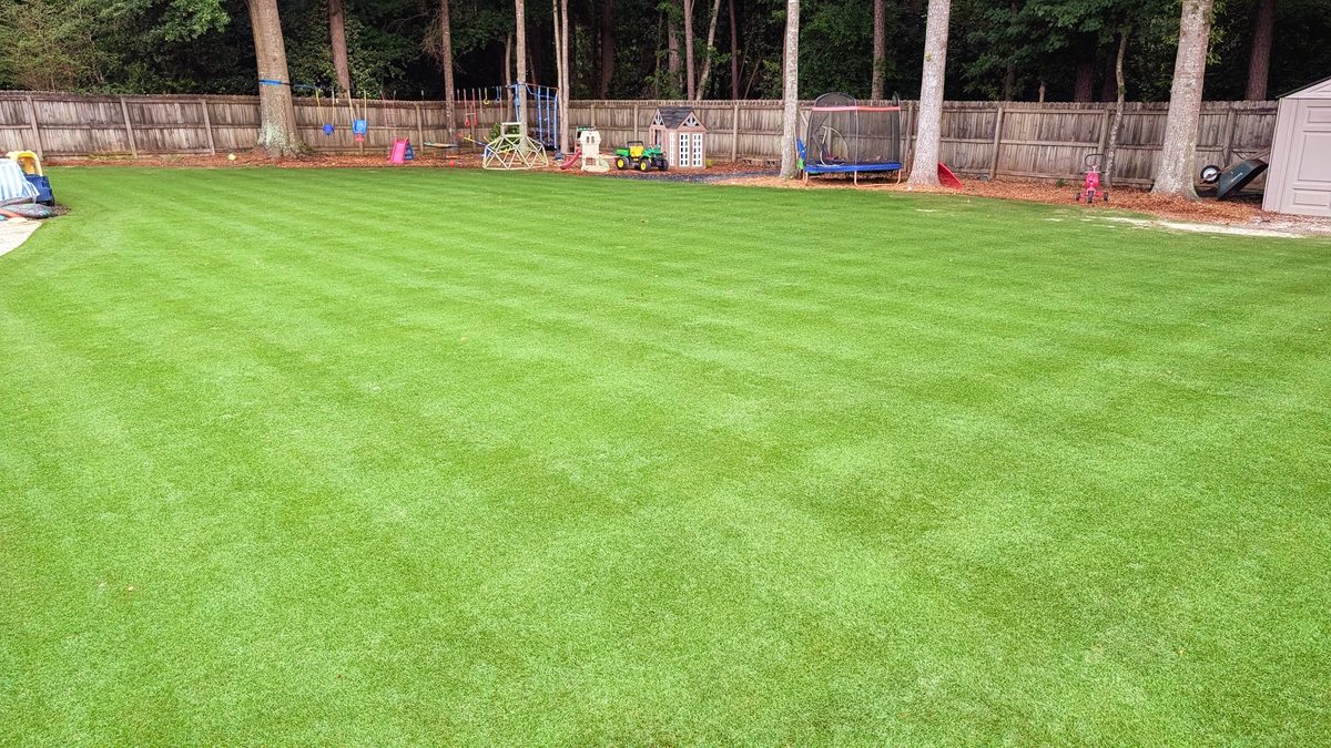 Zoysia lawn fully recovered three weeks after sand leveling, striped and even
