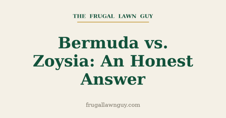 Bermuda vs Zoysia comparison — The Frugal Lawn Guy