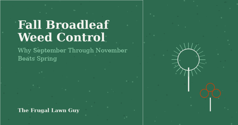 Fall Broadleaf Weed Control: Why September Through November Beats Spring - The Frugal Lawn Guy