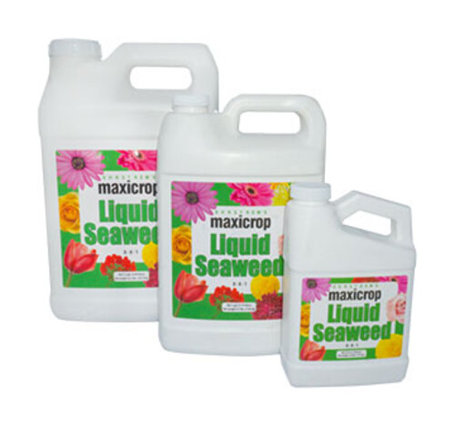 Maxicrop Liquid Seaweed bottle