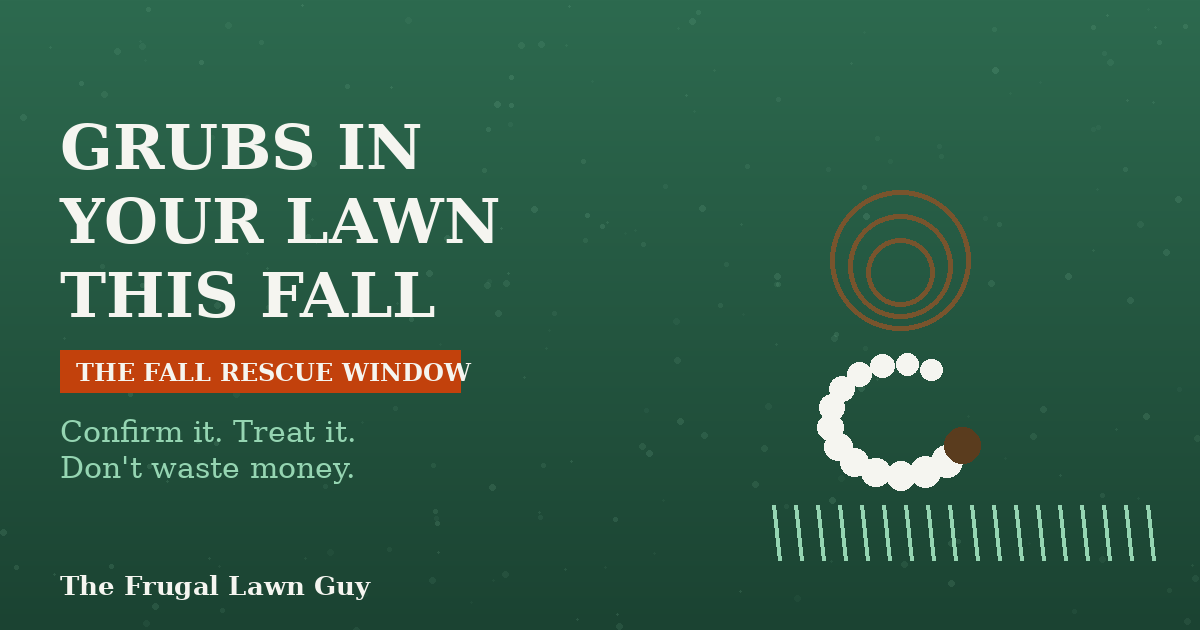 Illustration of a white grub and dead turf patch representing fall grub damage, The Frugal Lawn Guy