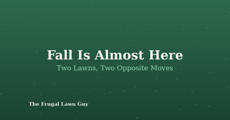 Fall lawn care for warm-season vs cool-season grass: two lawns, two opposite moves