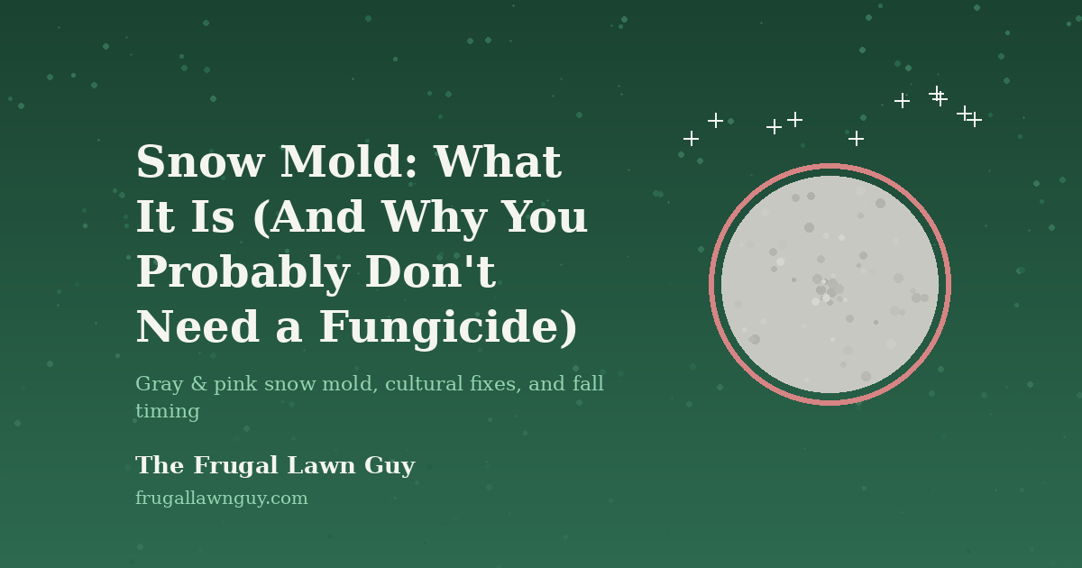 Illustration of a gray and pink snow mold patch on a cool-season lawn, Frugal Lawn Guy featured image